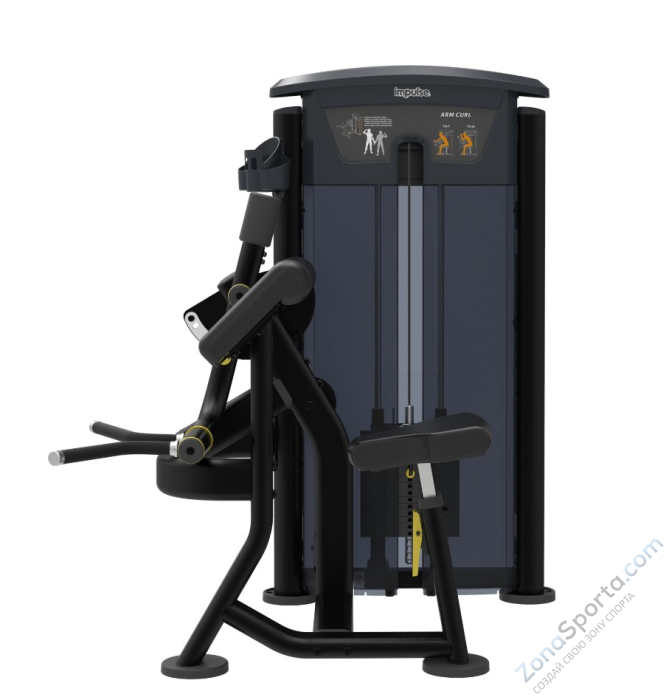 Бицепс Impulse IT9503