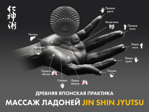 Массажное кресло Fujimo Flexor Business Edition Grey