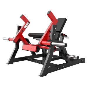Разгибание ног сидя на свободных весах Protrain PP137