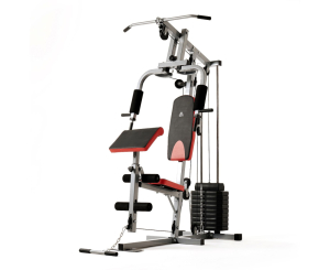 Силовой комплекс DFC HomeGym D7001 / стек 45 кг