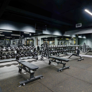 Скамья универсальная мобильная Tangen A-3039