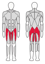 Тренажер для приводящих и отводящих мышц бедра Fitex Pro FTX-61F60